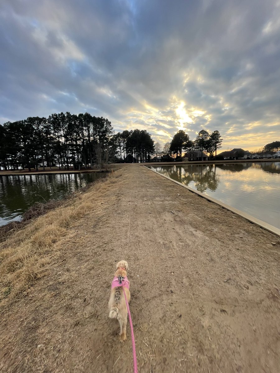 Pipisadog's tweet image. I’m out celebrating my CBE. #BTPosse #BTPNYH