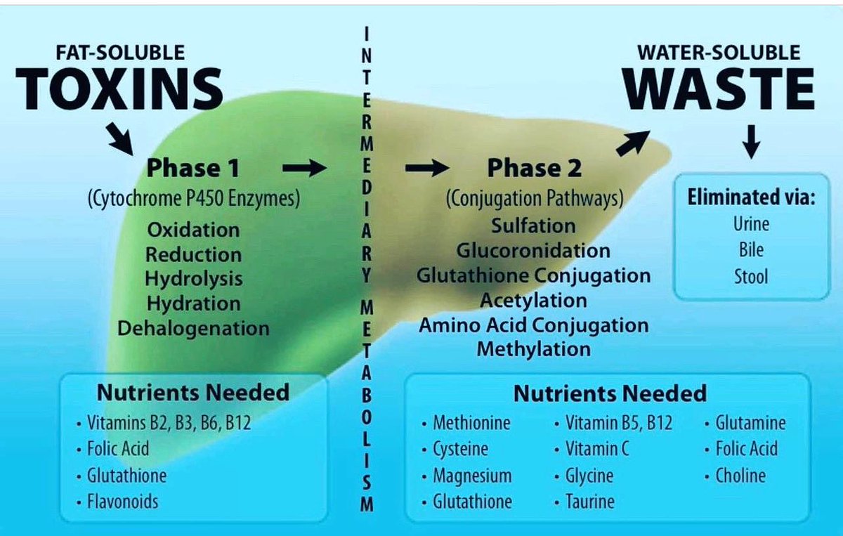 🙋‍♂️ Key role of nutrients in liver function 
#MedEd #Nutrition #FOAMed #nutritionmatters #medicalstudent #nutrition #GITwitter #NutritionisaScience