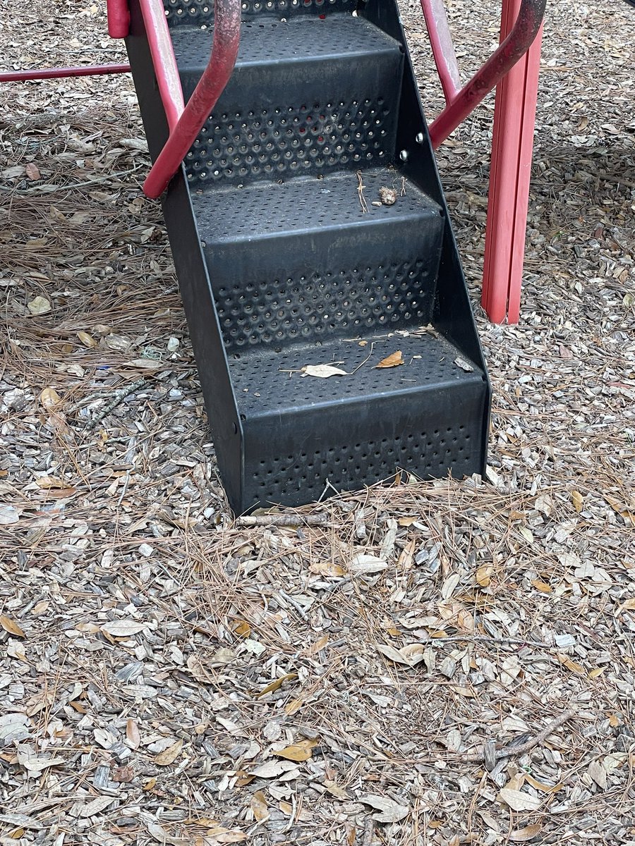 Keleigh's tweet photo. Back at the park where my daughter broke her leg when she was 16 months old (she’s now 3.5). Hopefully better outcome today. https://t.co/7rkkTrd6FX