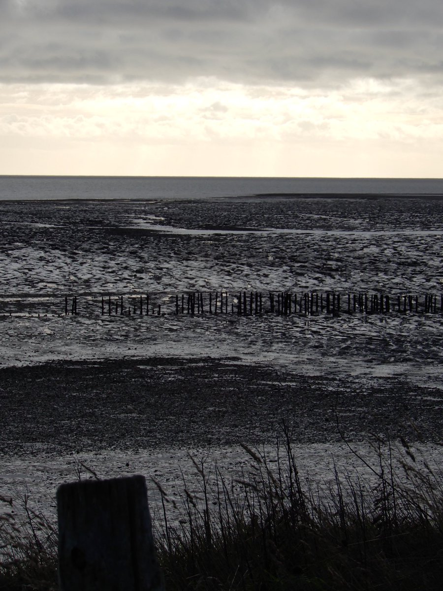 Matedwards7's tweet photo. Layers.
#EastMersea #Essex #photography #photographylovers https://t.co/jVw49xa7Yw