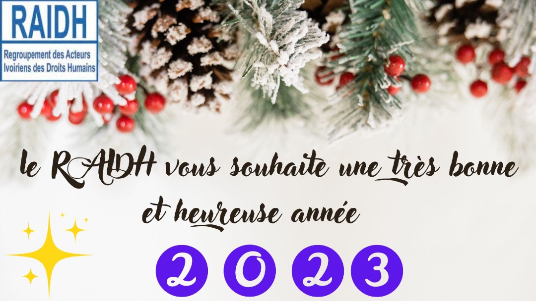 ongraidhci's tweet photo. Le #RAIDH vous souhaite une bonne et heureuse année 2023 https://t.co/TmPVclzPHL