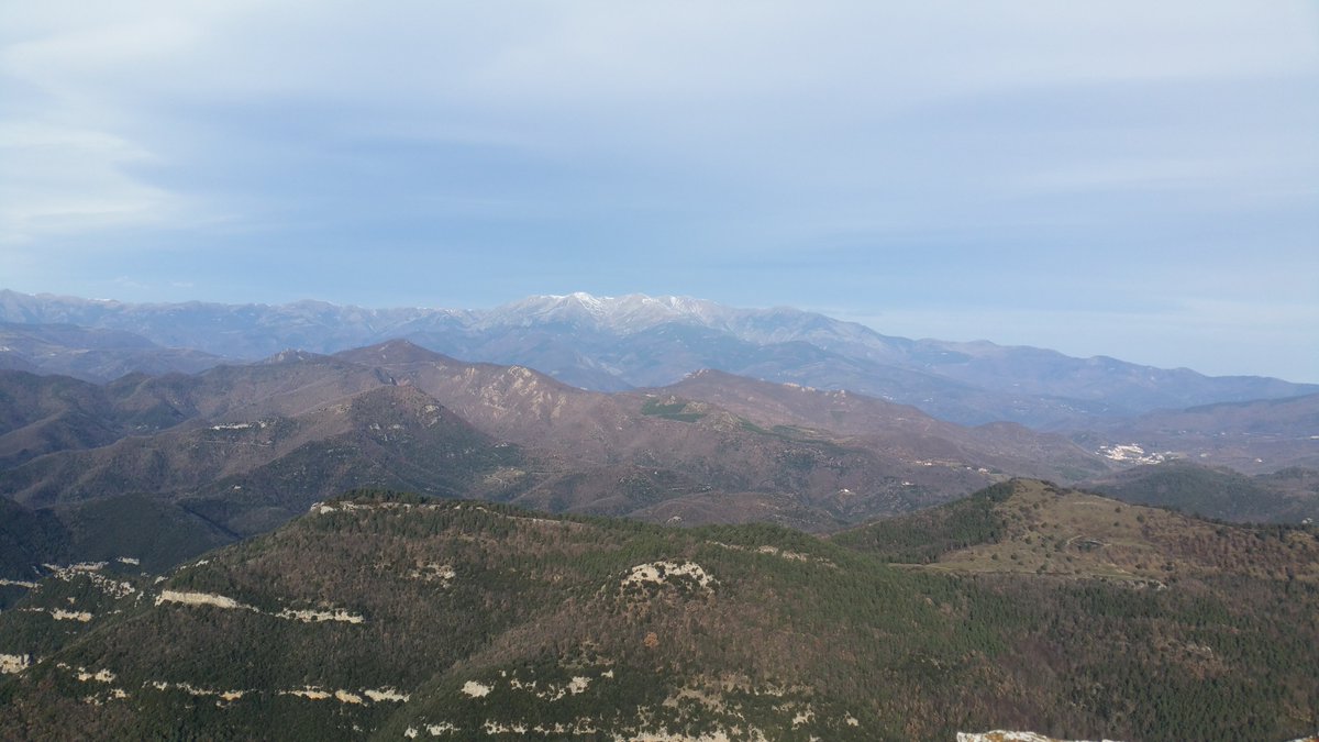 Aquest any li ha tocat al Bassegoda,  el Canigó al fons.