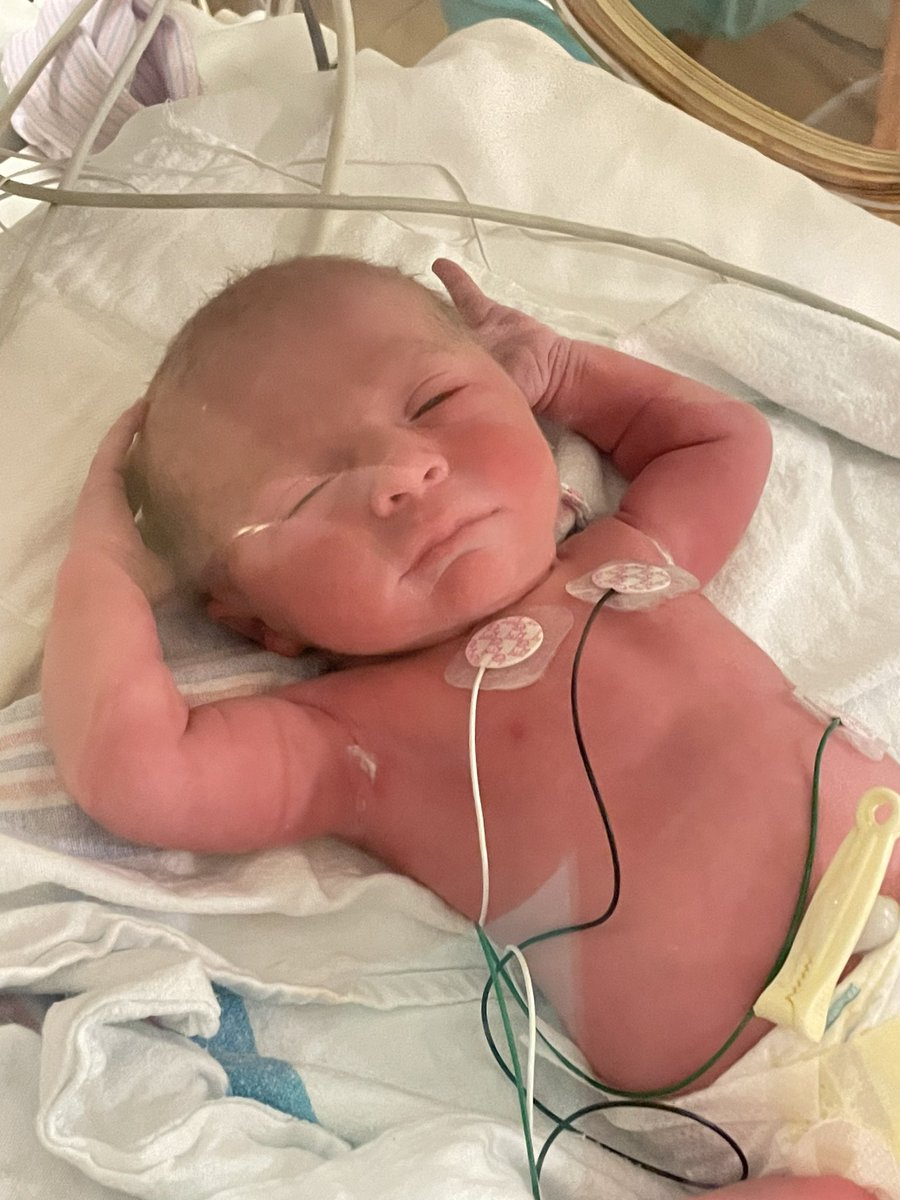 11latenightpod's tweet photo. He’s a little early but I would like to welcome the newest addition to The Late Night Wrestling Pod!#baby #newyearbaby #futurewwechamp https://t.co/O9btX359gJ