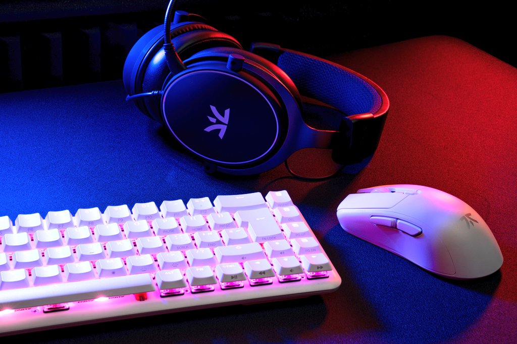 Stallion tweet media