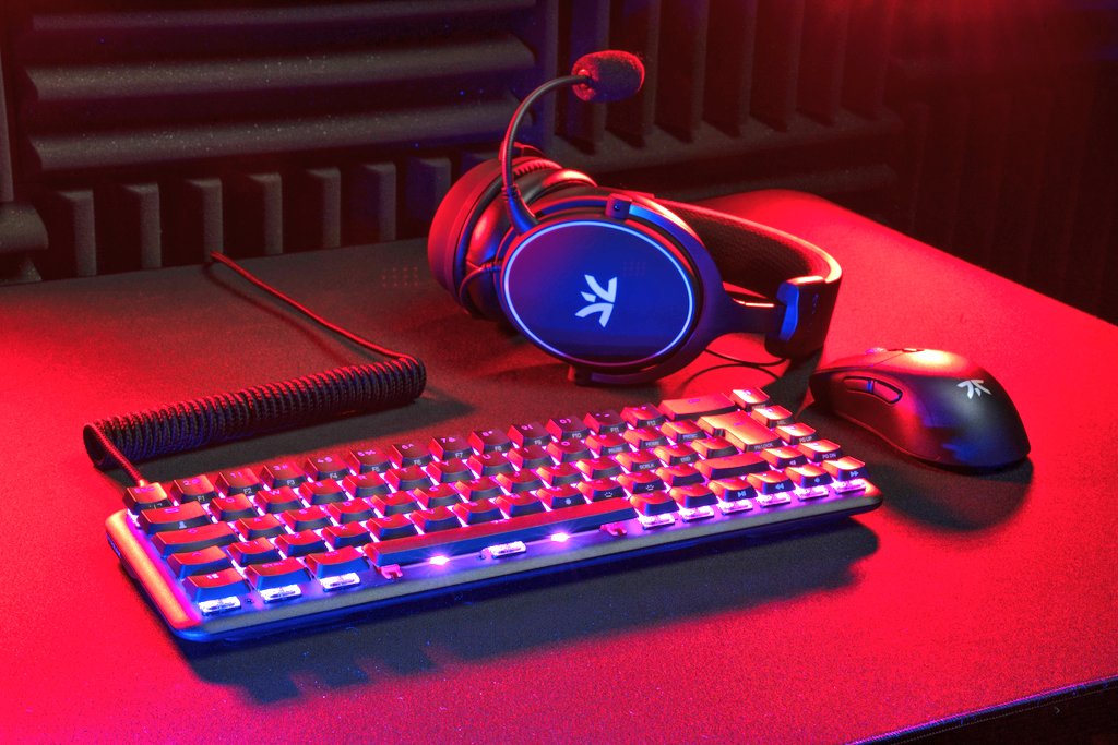 Stallion tweet media