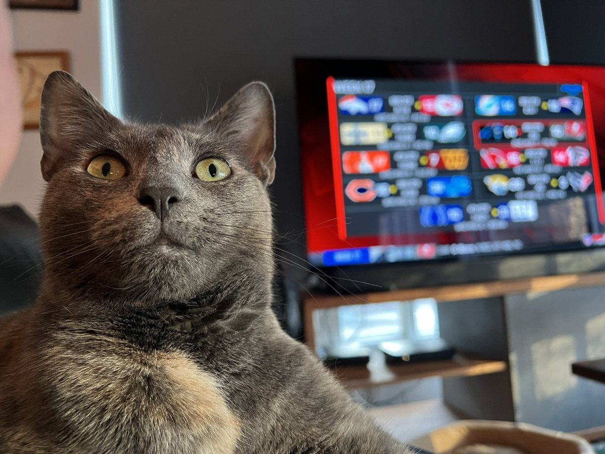 Eli Goodman tweet media