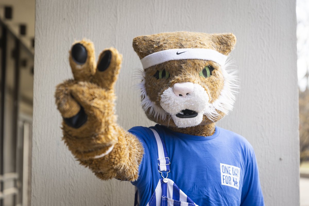 The Kentucky Wildcat tweet media