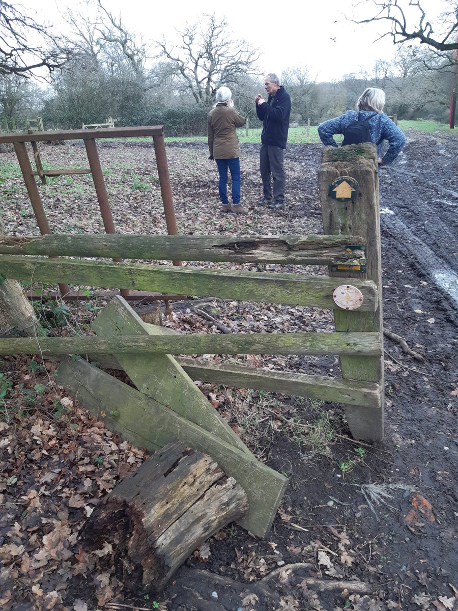 FryerningFrame's tweet photo. 12 #IngatestonePedallers at the Viper #MillGreen today. Nice walk but some of the FP infrastructure needs a little tlc. That's 2023 sorted then. @WeAreCyclingUK @RamblersGB @essexhighways @IngFryPC @Brentwood_BC https://t.co/PssWKjqNTe