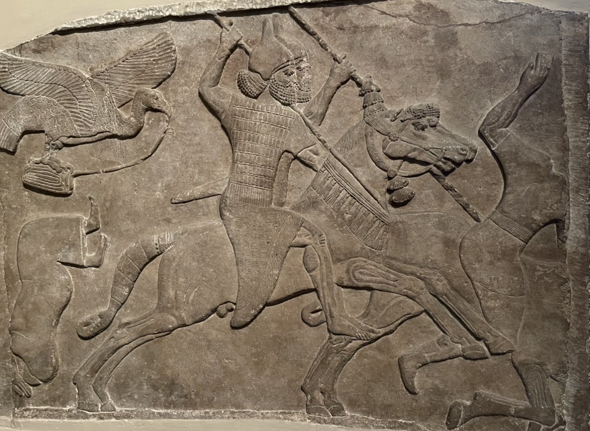 #lraqMsptmia tweet media