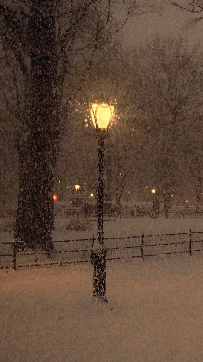 silent, (@silent17427583) on Twitter photo 