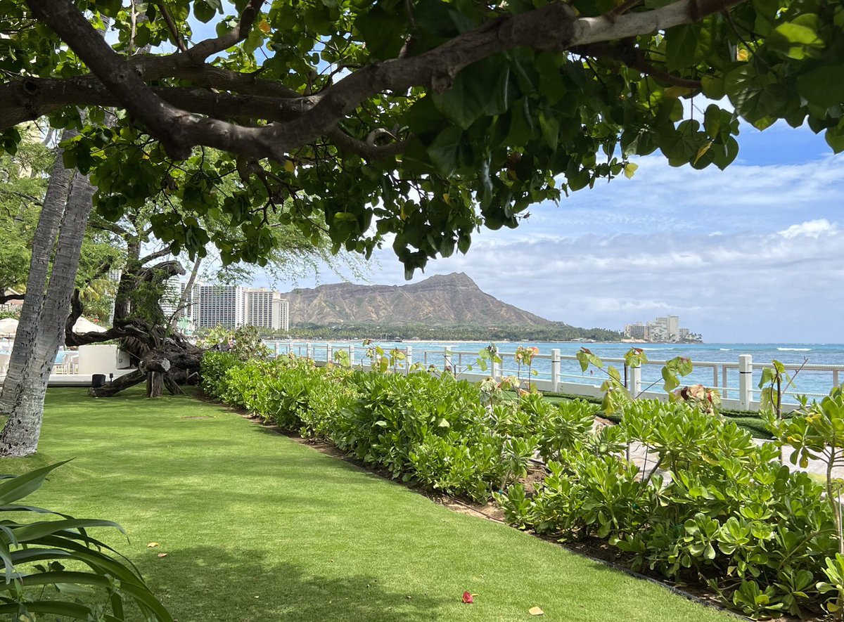 DebraFujiwara's tweet photo. @HoobaDoug Hau’oli Makahiki Hou to you, your HoobaFamily and Hoobadoggos.  Wishing you a Happy, Healthy, Prosperous 2023! https://t.co/6rJcjWEYUH