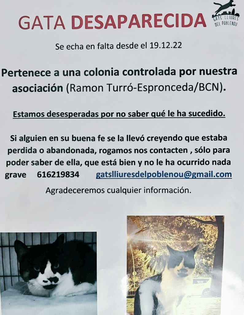 🆘 #PobleNou #Barcelona
#gatos #gats #PERDIDO 
#gatosperdidos 😿⚠️🚨 #XarxaBarcelonaPerduts 
Si alguien la ha visto o ha recogido 
a esta gatita por favor poneros en contacto!! Sus cuidadoras están desesperadas 🙏