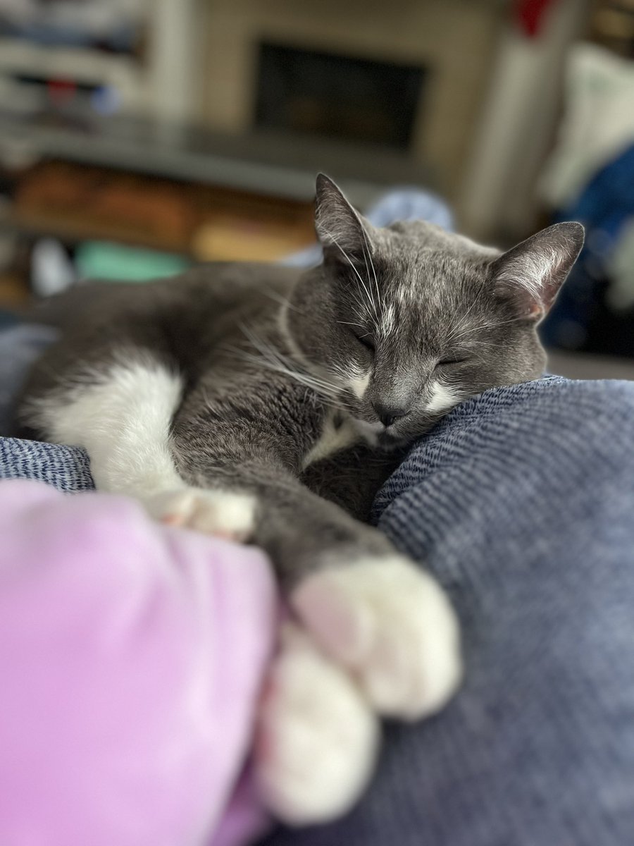 BurtyButt's tweet image. Happy New Year! 2023 word of the year is Snuggles.