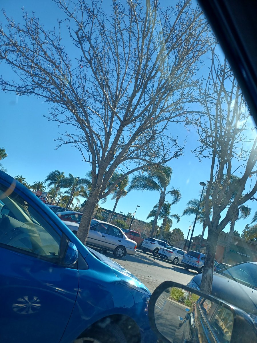 Writer_by_Night's tweet photo. @lanarificc Just took these pics and it's the opposite of flooding haha. You're safe to come back home lol. 

But then again, California's weather is bipolar so no promises that it stays this nice tomorrow lol. It was raining like hell yesterday tho. https://t.co/Gu8R4FetvF