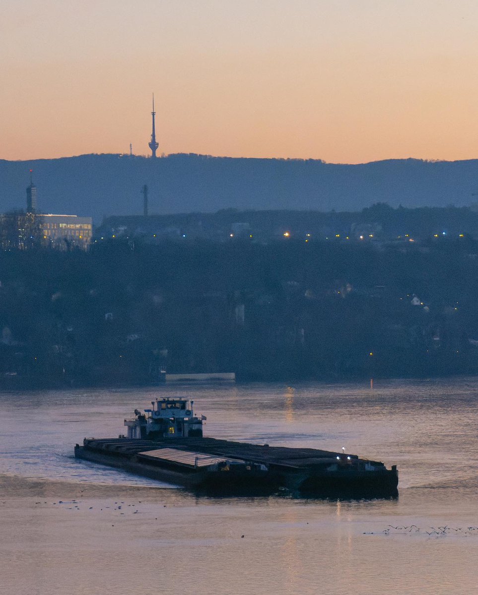 Marko Bogdanović tweet media