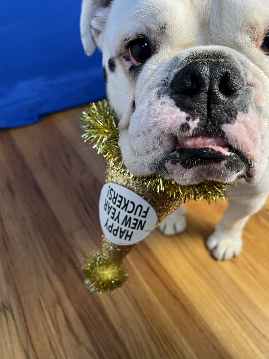 Tgrahamtrip's tweet photo. @mhnV2AugO21ch0t happy new year from my clan to yours thank you for fighting the good fight cheers! https://t.co/jnbtGFu0b8