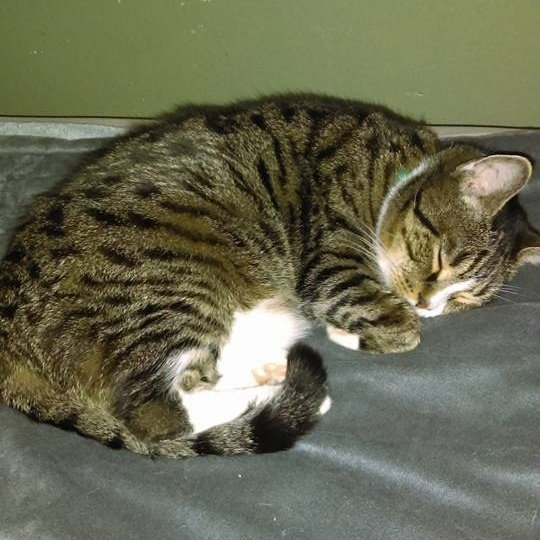 sunyscroc's tweet image. #NewProfilePic