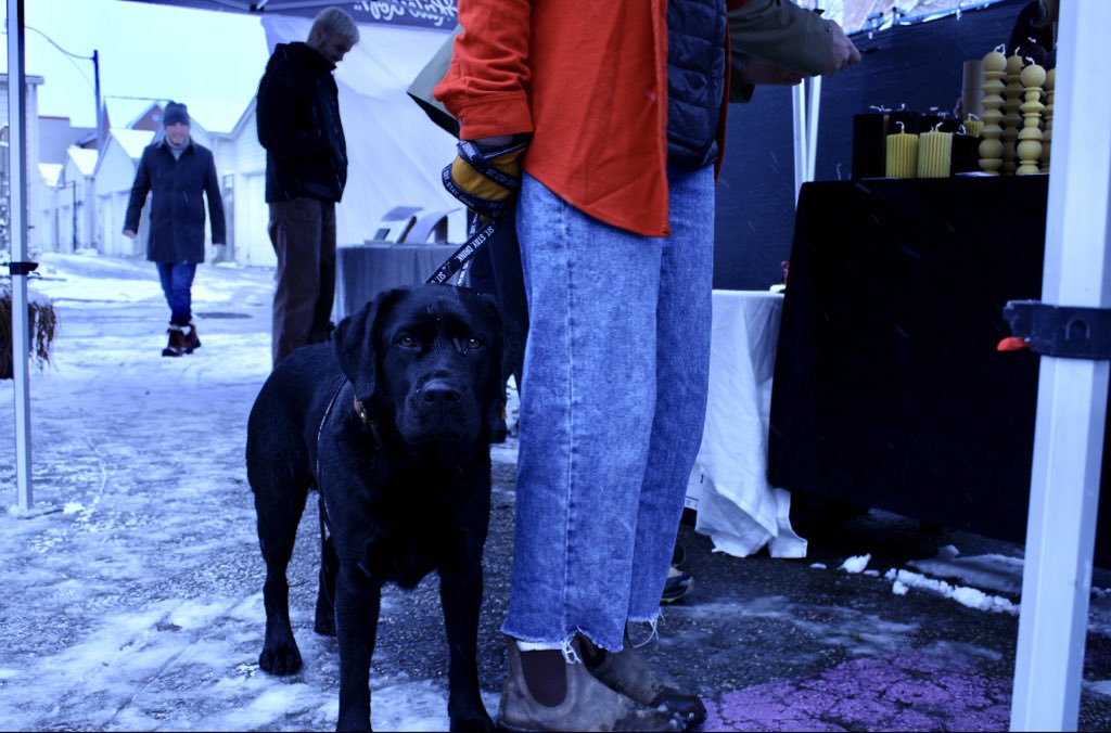 Black Lab Brewing tweet media