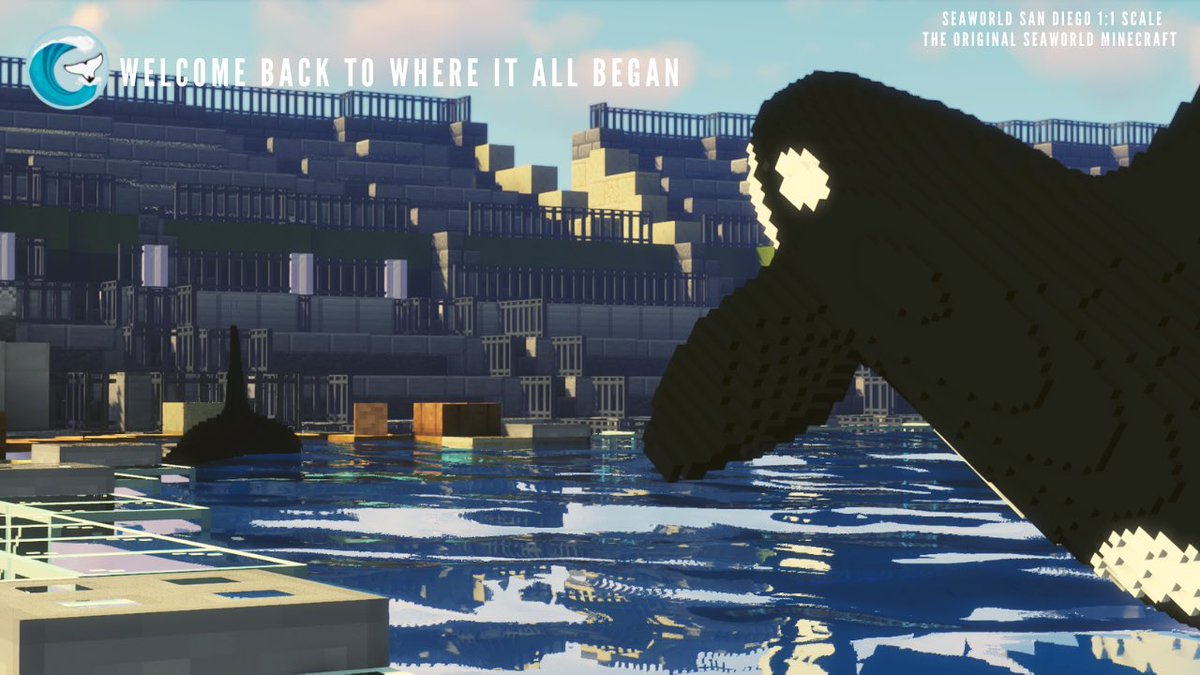 SeaCraftMC tweet media