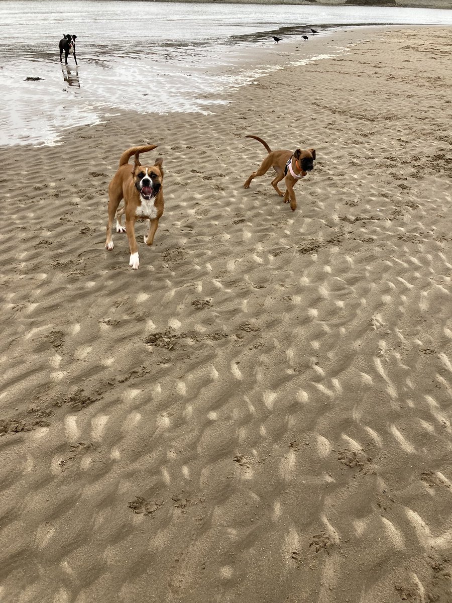 NY Day walk
