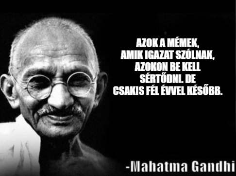 ocelotminta's tweet photo. újév egy képben: https://t.co/J2Rz2MF2TD