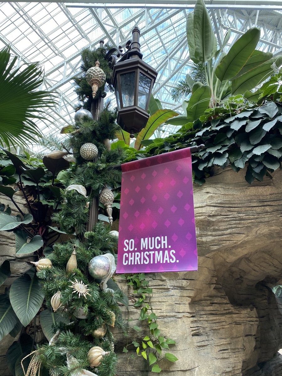 When a lower level floor simply won’t do, I put my charm to good use and get upgraded.

#SoMuchChristmas | #8117
@GaylordPalms | #GaylordPalms
@GaylordHotels | #GaylordHotels