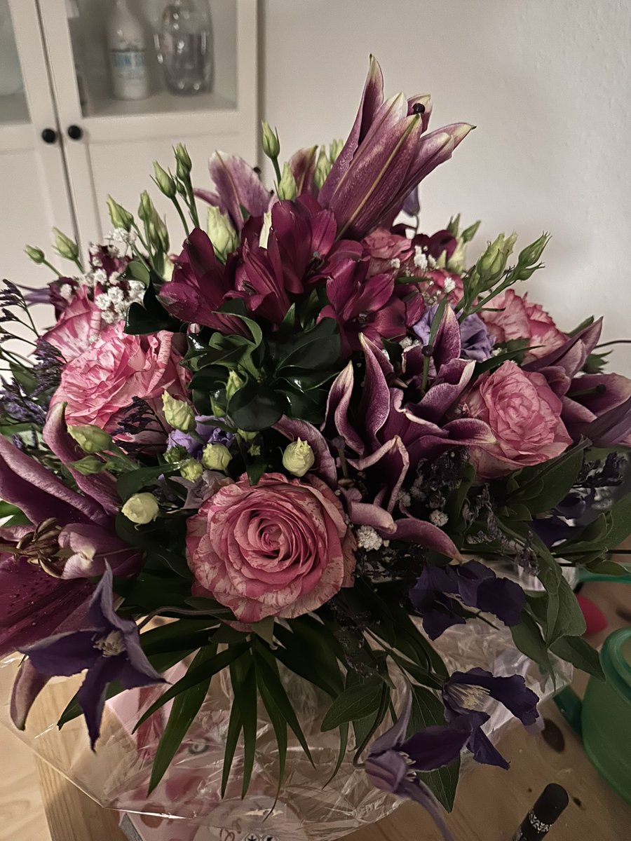 Anastasija Plett tweet media