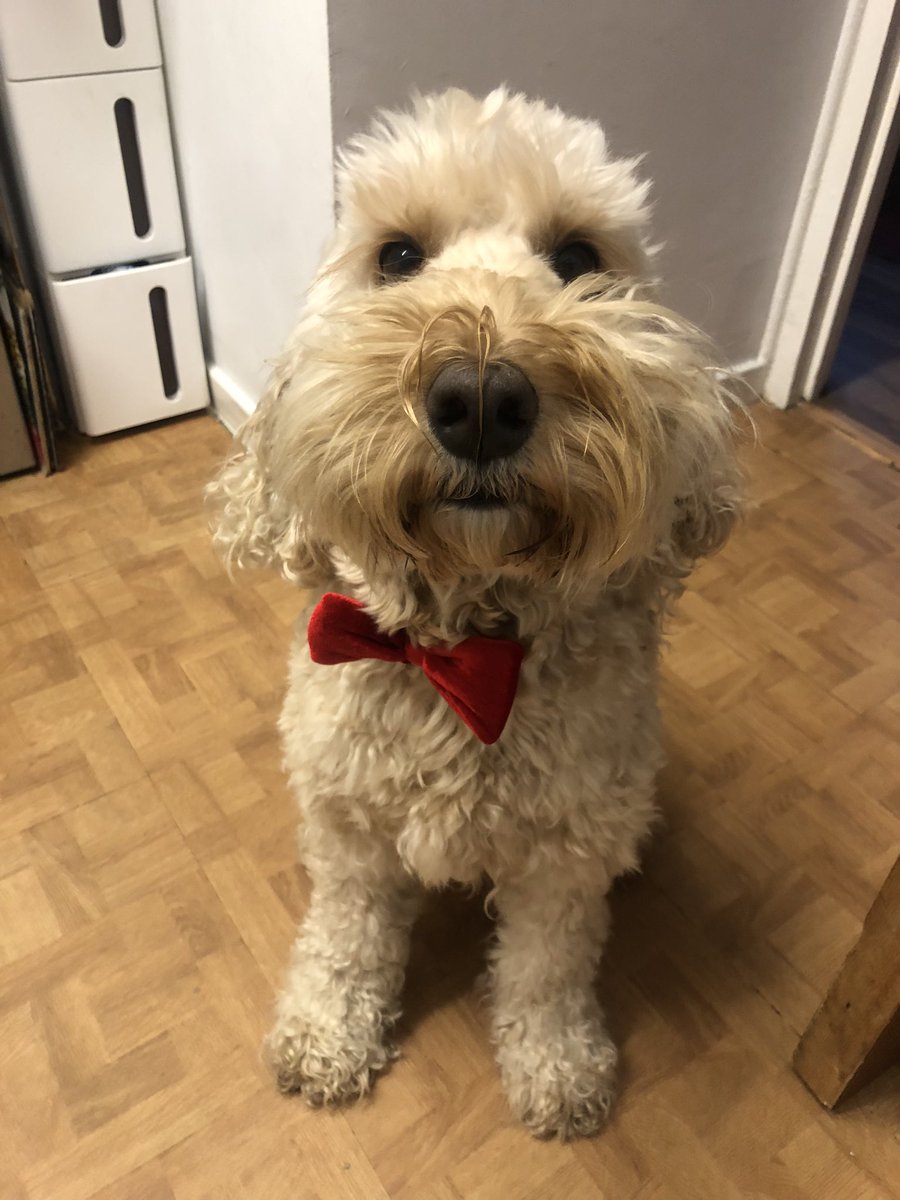 David Claridge tweet media