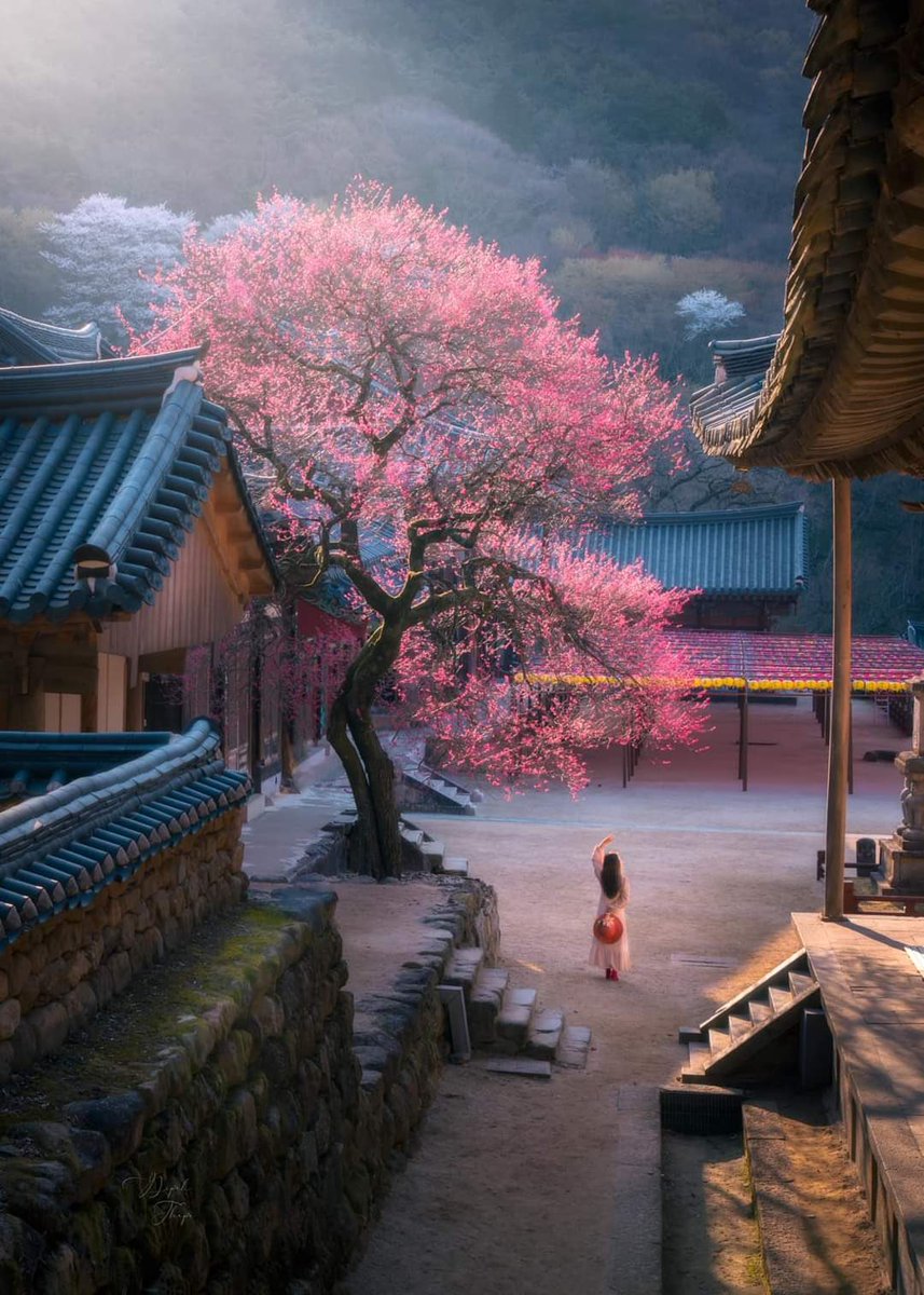 Saffron606's tweet photo. Hwaeosma Temple ~ #Korea https://t.co/8SSm2oCSxI
