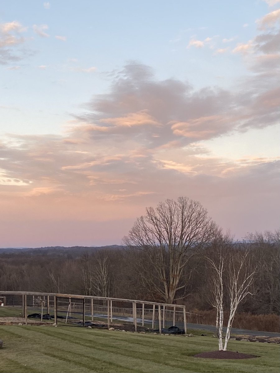 John Murray (@johnmur11) on Twitter photo 