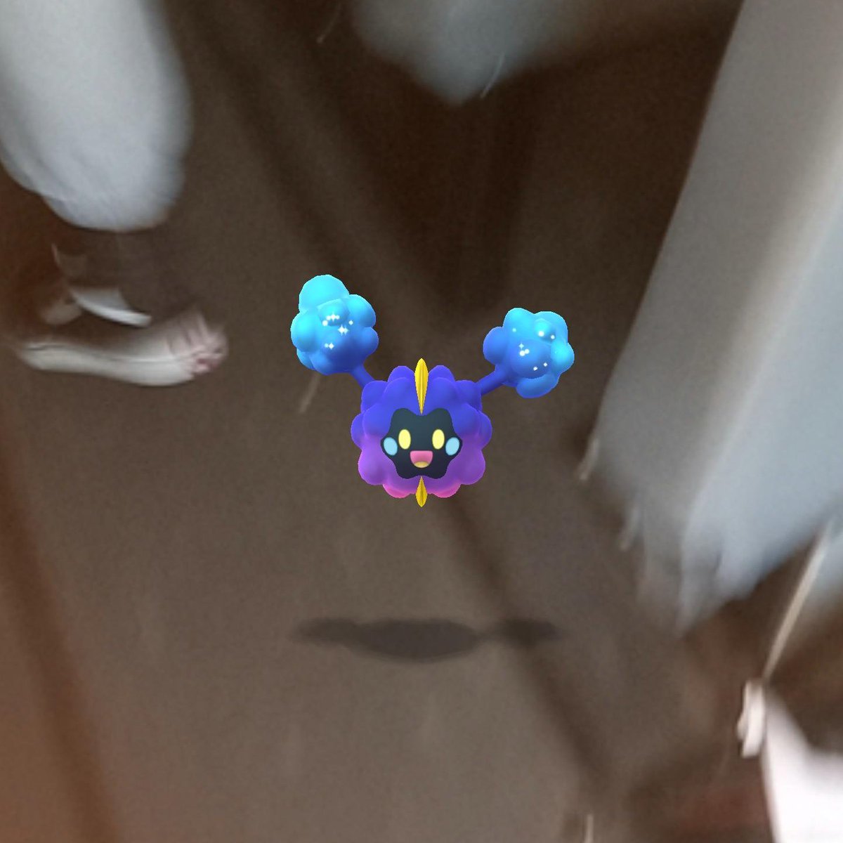 The smiling Pokémon of the day is... Cosmog! No matter how big or small, every smile is important within the cosmos! Submitted by @Local_Elio_Aqua