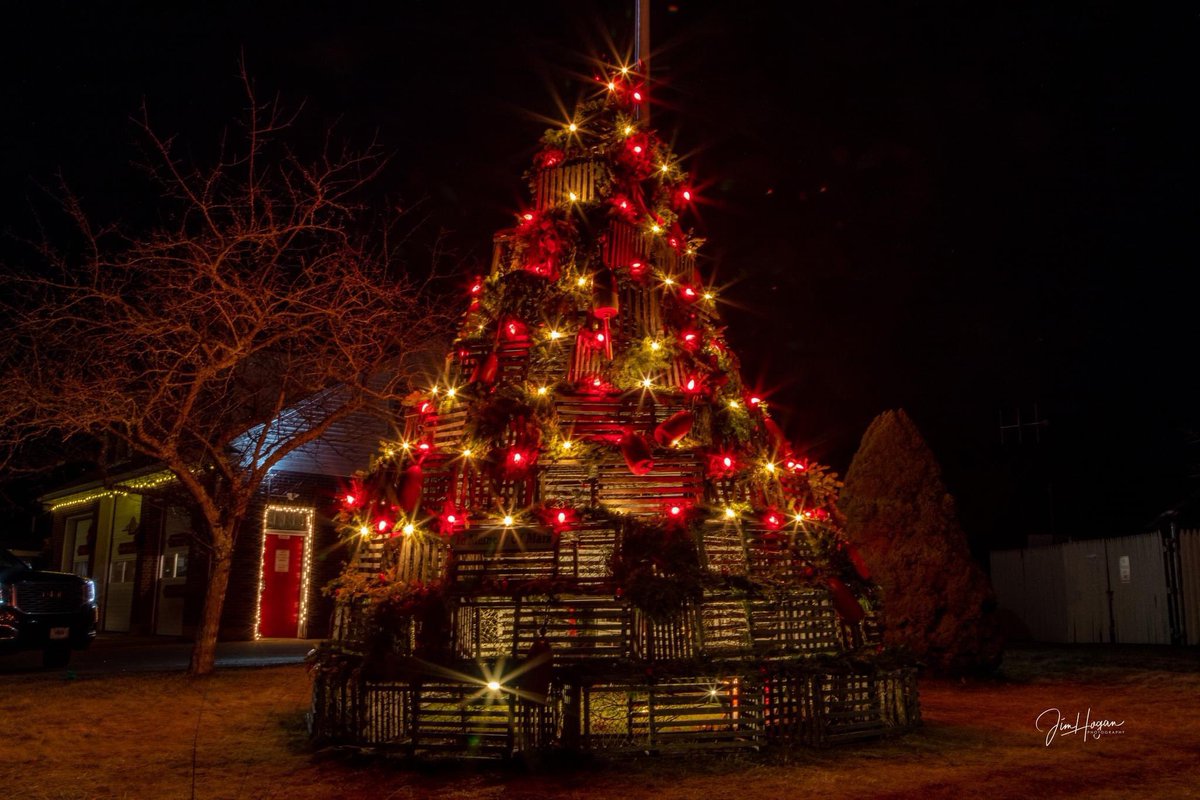 thurstonhow's tweet photo. Some #ChristmasTree shots from Coastal Maine this past week. #maine @visitmaine @j_mundry @RyanBretonWX @VHOganKnowsBest @HeinzSight57 https://t.co/xsPufLKksn