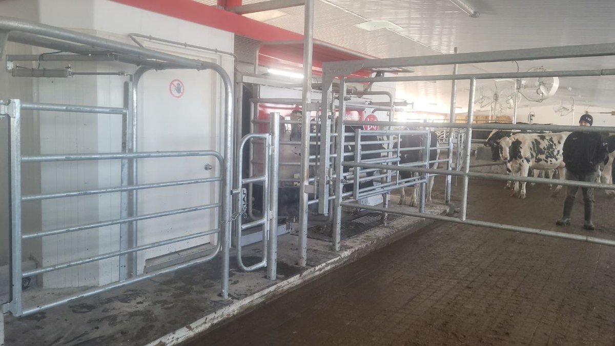 DundasAgri's tweet photo. Christmas brought Weenarda Holsteins a smooth start-up!

Congratulations to the Groniger family on their new freestall barn with Lely Astronaut A5, Lely Discovery 120 Collector and Lely Juno 100 feed pusher! 

#dundasagrisystems #webuildfarms #livelifelely https://t.co/RrDkQLZGMe