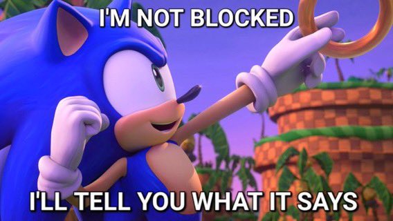 DoubleWimmy's tweet photo. @AlLeGameurRBLX @datgoatjack_08 @MArrtist @Herminsky_Vrac @lyov_pple SONIC UNDERGROOOOUND https://t.co/Js0zPH0aqy