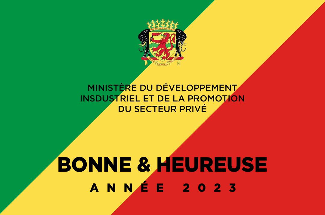 Ministère du Développement Industriel-Congo (@industriecg) on Twitter photo 