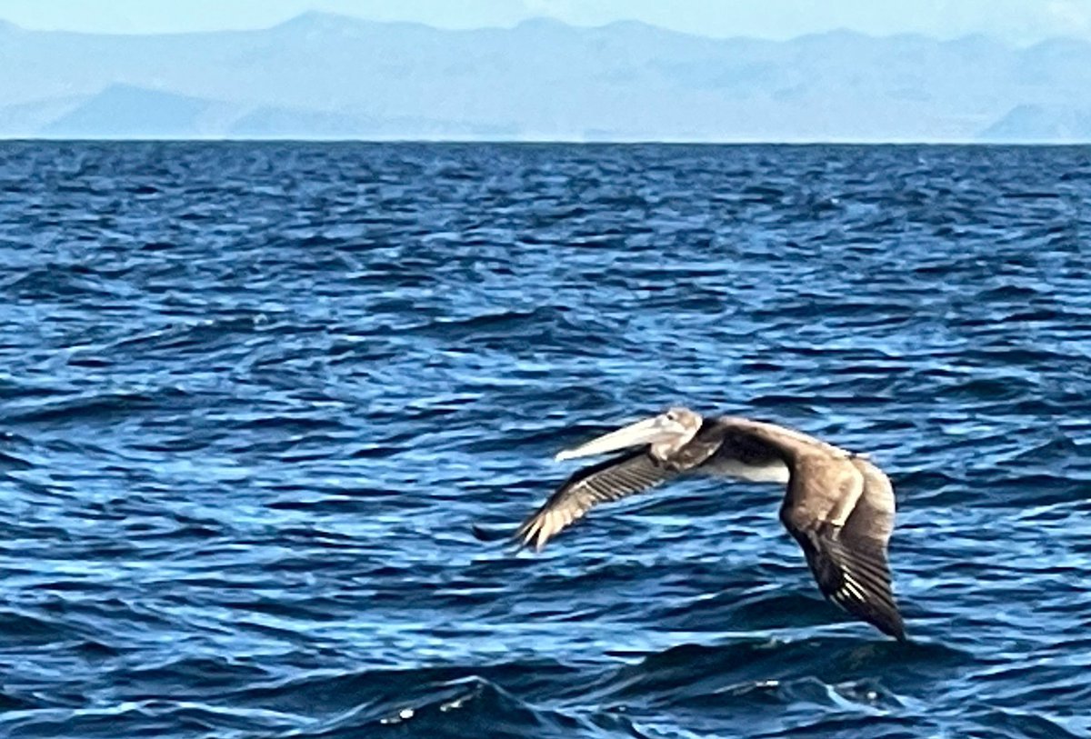 Musings of the Day, 1/1/23:

In 2023:

I want more:
Fitness of Mind/Body, Patience, Presence, Learni...