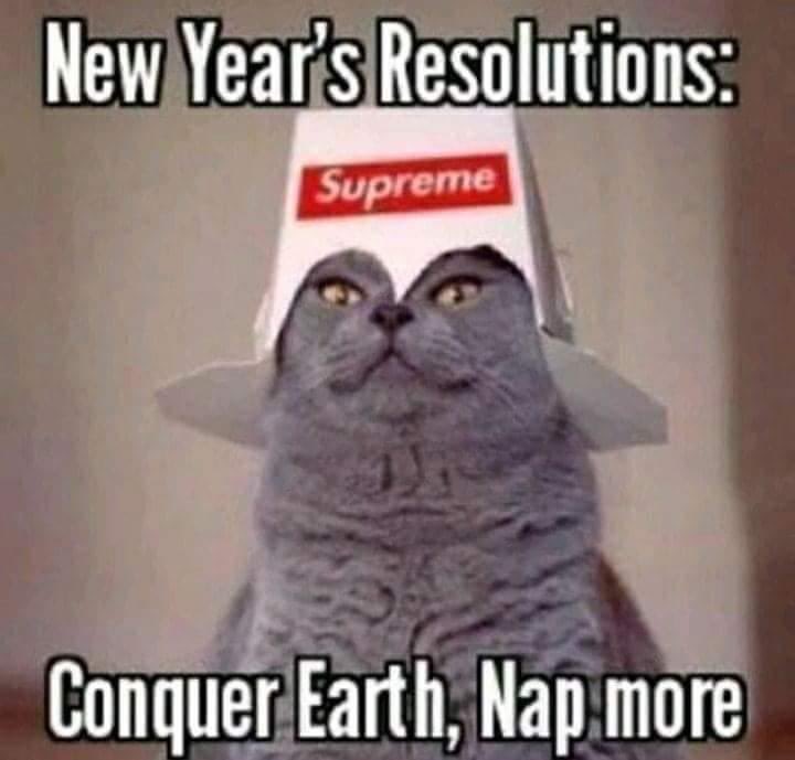 ThePhilosopurr's tweet photo. Let’s give the cats a chance… what could go possibly go wrong? https://t.co/sTvcWS0s7L