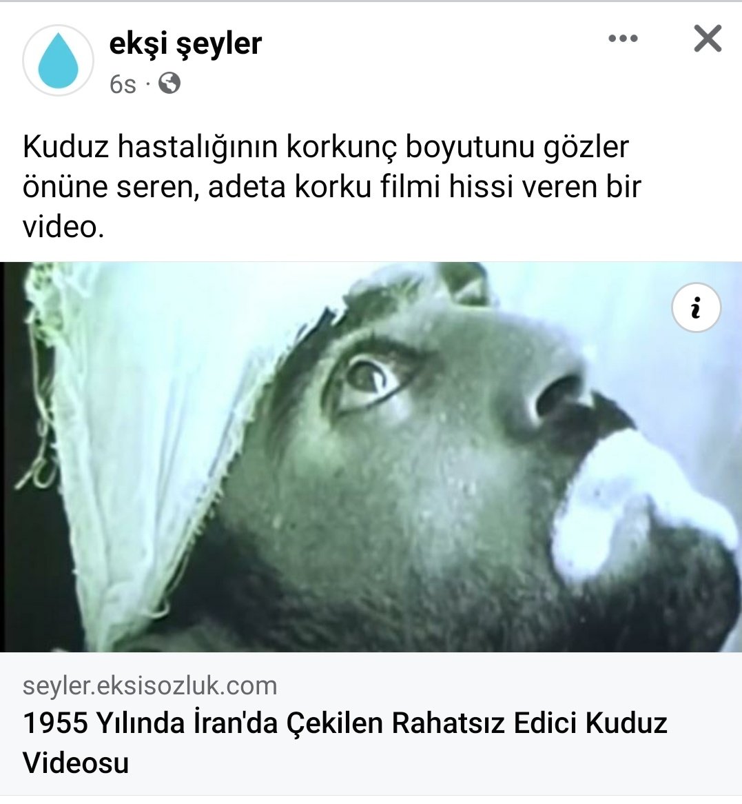 DilekEN14272699's tweet image. #KUDUZKÖPEKLER
#kuduzAşısıyok