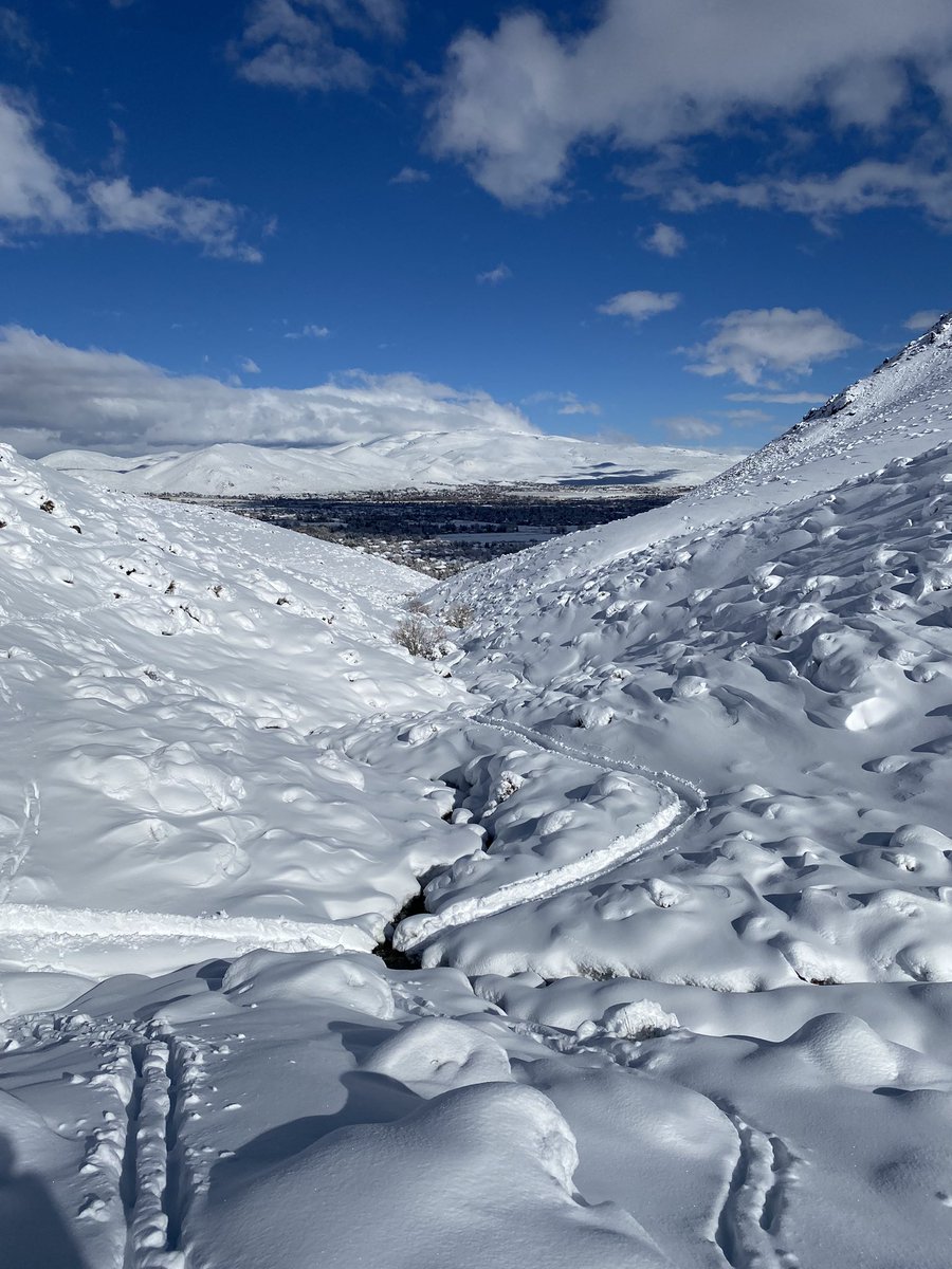 NVRoadgeek's tweet image. Doing my part as a member of the Carson City Open Space Committee- blazing a trail so other community members can follow 😎 #Carsonopenspace #letitsnow #CarsonCity #Nevadabeauty #outthebackdoor