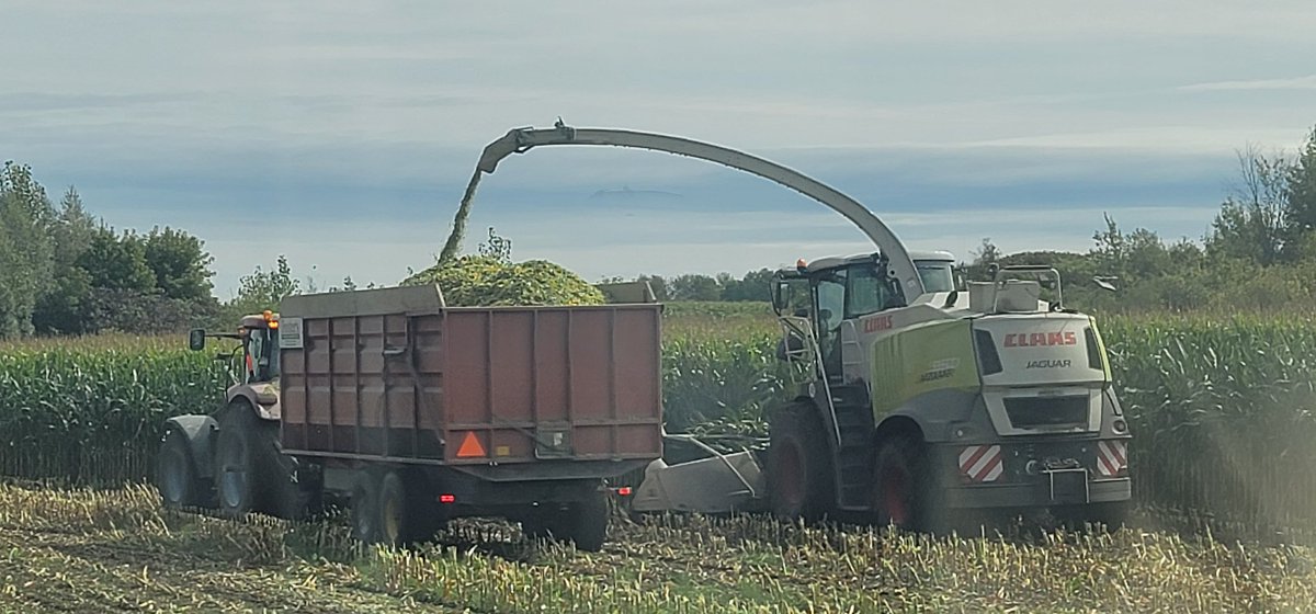 Happy New Year to all. Wish all a safe prosperous healthy year.