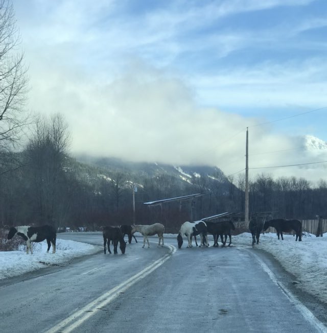 Ray Bernoties tweet media