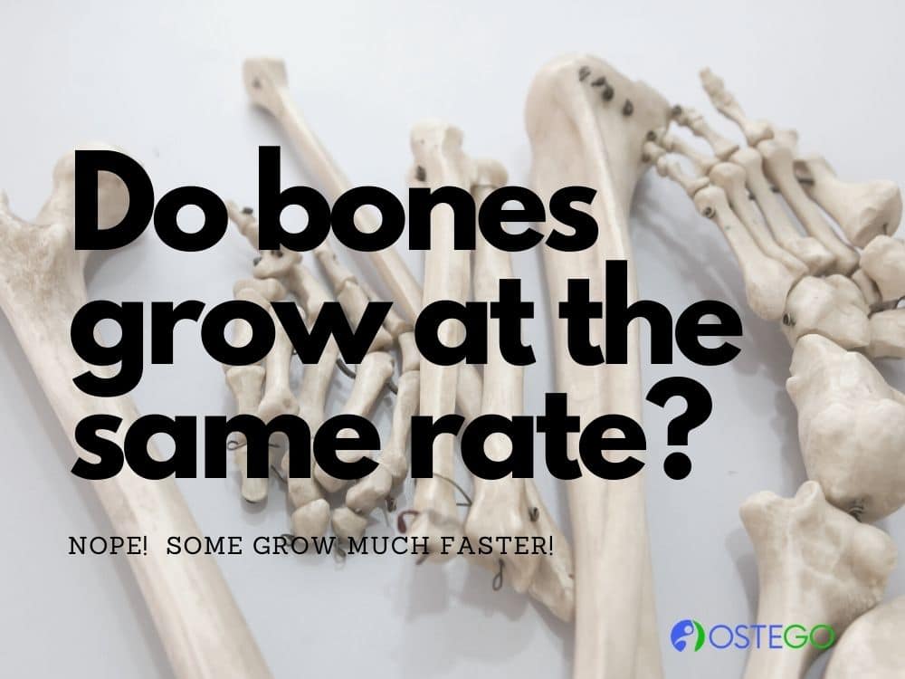 OstegoLife's tweet photo. Bone development and regeneration happens throughout our lives and peak during adolescence.
Let’s learn more about the development of bones and the factors influencing the rate of growth.

#Bonedevelopment
#Skeletaldevelopment
#developmentofbones
#growthofbones
#bonehealth
#aging https://t.co/mRyoRfepFO