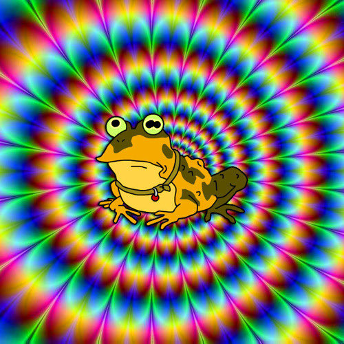 Kendra Miller tweet media