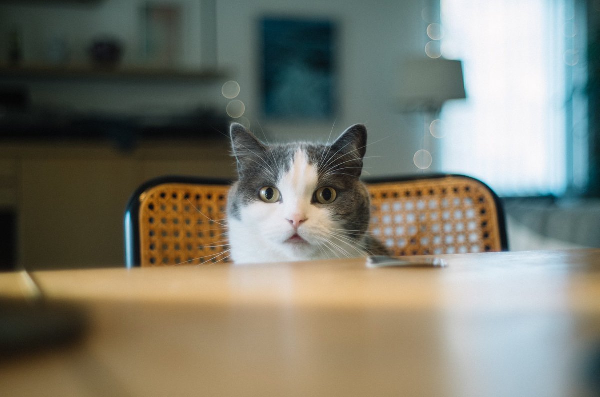 明けましておめでとうございます。