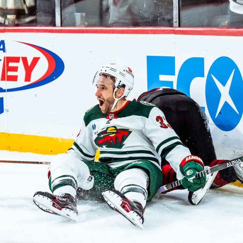 mnwild's tweet photo. What a year it has been. Here are some of our favorite frames from 2022 📸 

#mnwild