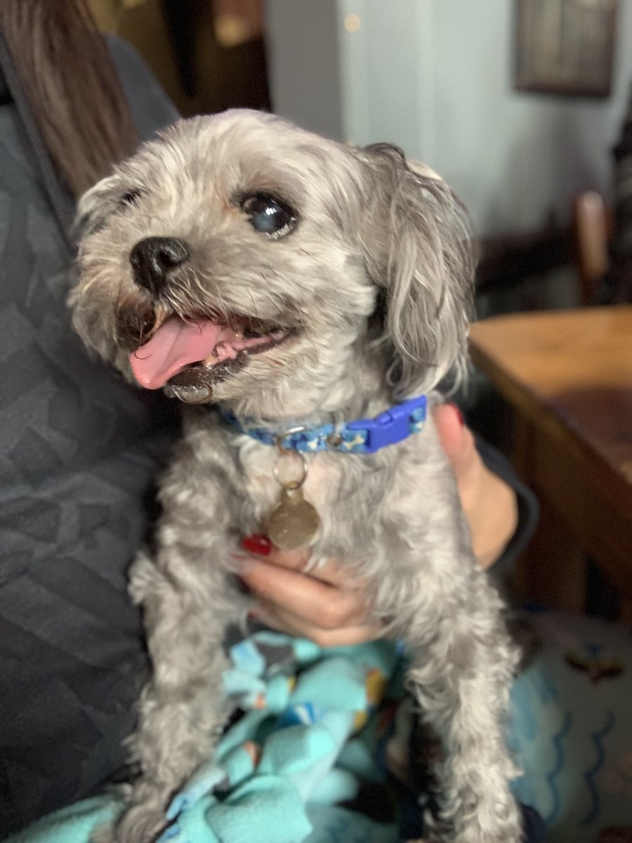 Aussieshell4 tweet media