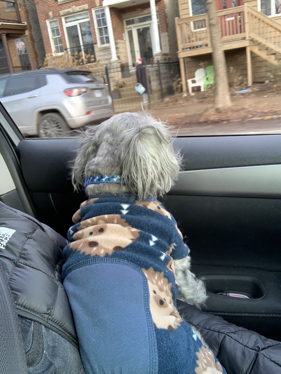 Aussieshell4 tweet media