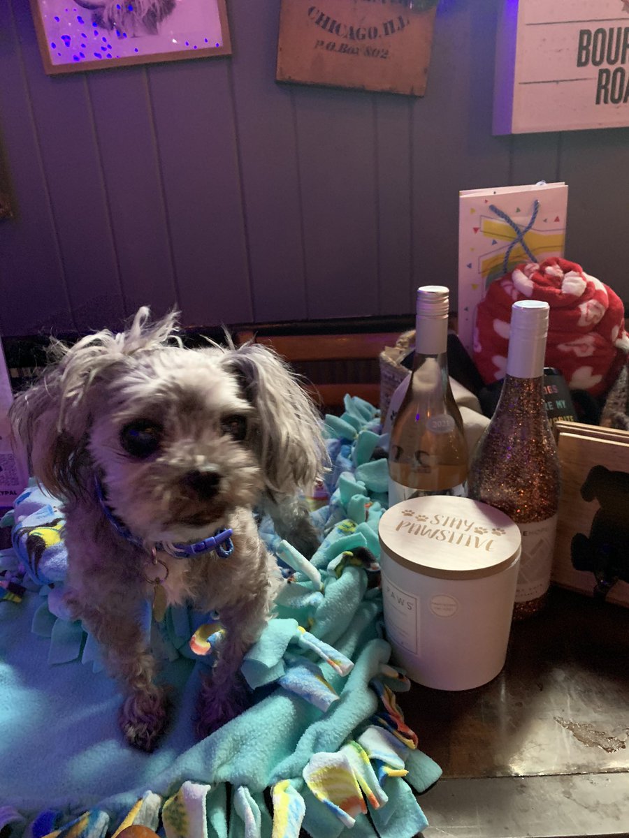 Aussieshell4 tweet media