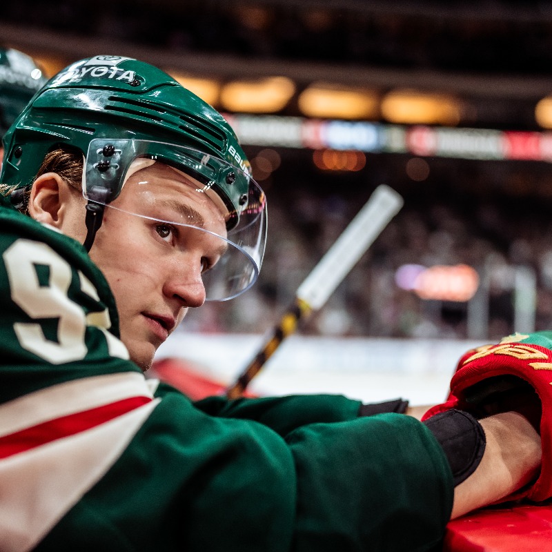mnwild's tweet photo. What a year it has been. Here are some of our favorite frames from 2022 📸 

#mnwild