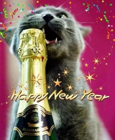 Happy Mew Year 2023. 🍾 🐈🐾
Wishing all my friends happiness throughout the Year. 🎊🎉🐈🐾🐈‍⬛🐾💜
#HappyMEWYear2023 #NewYear #HappyMewYear #HappyNewYear 
#HappyNewYear2023 #cats #happynewyear23 #CatsOfTwitter 
#CatsOnTwitter #Cat #catlovers 
#catlove